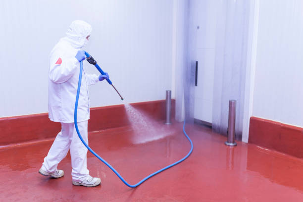 Best Dumpster Area Cleaning  in South San Francisco, CA